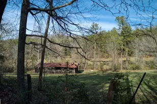 595 Wildlife Trail, Morganton, GA 30560 - Photo 41