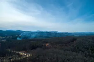 595 Wildlife Trail, Morganton, GA 30560 - Photo 47