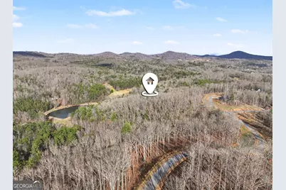 595 Wildlife Trail, Morganton, GA 30560 - Photo 35
