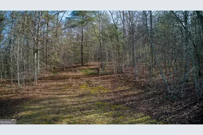 595 Wildlife Trail, Morganton, GA 30560 - Photo 43