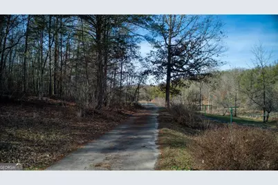 595 Wildlife Trail, Morganton, GA 30560 - Photo 49