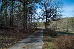 595 Wildlife Trail, Morganton, GA 30560 - Photo 49