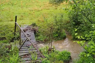 595 Wildlife Trail, Morganton, GA 30560 - Photo 55