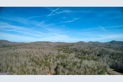 595 Wildlife Trail, Morganton, GA 30560 - Photo 53