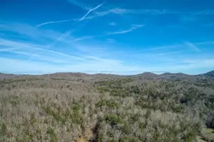 595 Wildlife Trail, Morganton, GA 30560 - Photo 53