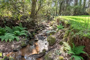 200 Skyline Pkwy, Athens, GA 30606 - Photo 31