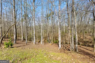 276 Davis Lake Road, Thomaston, GA 30286 - Photo 103