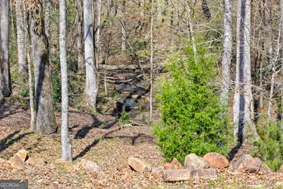 276 Davis Lake Road, Thomaston, GA 30286 - Photo 97