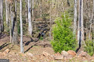 276 Davis Lake Rd, Thomaston, GA 30286 - Photo 97