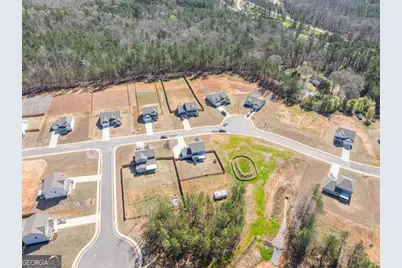 228 River Station Drive, Monroe, GA 30656 - Photo 49