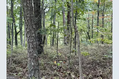 1417 Foxhound Trail NE, Ranger, GA 30734 - Photo 3