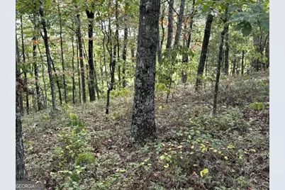 1417 Foxhound Trail NE, Ranger, GA 30734 - Photo 5