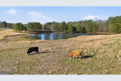 998 Dunn Road SE, Silver Creek, GA 30173 - Photo 23