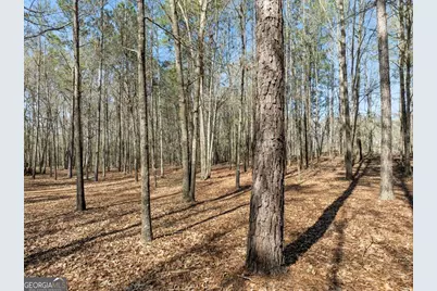 24100 US Highway 441 S, Milledgeville, GA 31061 - Photo 49