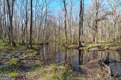 24100 US Highway 441 S, Milledgeville, GA 31061 - Photo 47