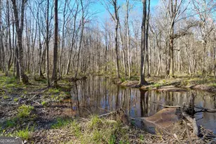 24100 US Hwy 441 S, Milledgeville, GA 31061 - Photo 47