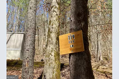 119 Cub Lane, Rabun Gap, GA 30568 - Photo 21