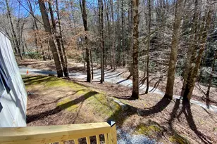 119 Cub Ln, Rabun Gap, GA 30568 - Photo 27
