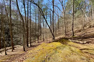 119 Cub Ln, Rabun Gap, GA 30568 - Photo 31