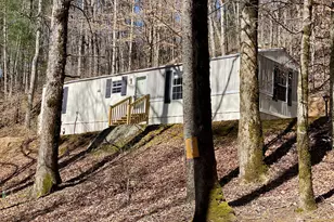 119 Cub Ln, Rabun Gap, GA 30568 - Photo 41