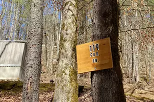 119 Cub Ln, Rabun Gap, GA 30568 - Photo 3