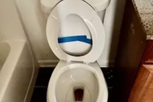 10955 Southwood Dr, Hampton, GA 30228 - Photo 47