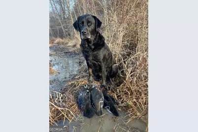 3312 Hunts Chapel Road, Sparta, GA 31087 - Photo 43