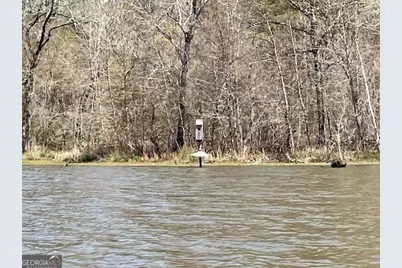 3312 Hunts Chapel Road, Sparta, GA 31087 - Photo 21