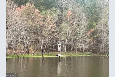 3312 Hunts Chapel Road, Sparta, GA 31087 - Photo 25