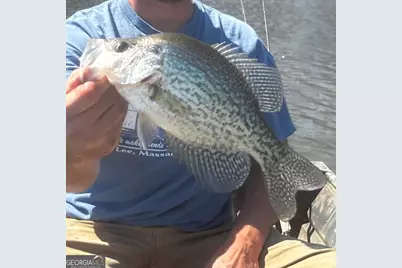 3312 Hunts Chapel Road, Sparta, GA 31087 - Photo 23