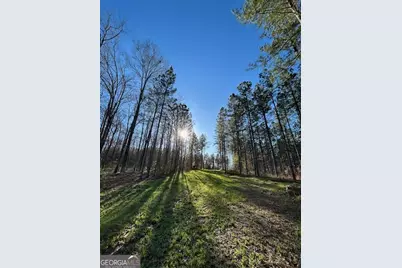 3312 Hunts Chapel Road, Sparta, GA 31087 - Photo 33