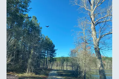 3312 Hunts Chapel Road, Sparta, GA 31087 - Photo 81