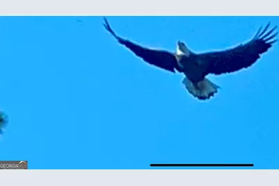 3312 Hunts Chapel Road, Sparta, GA 31087 - Photo 69