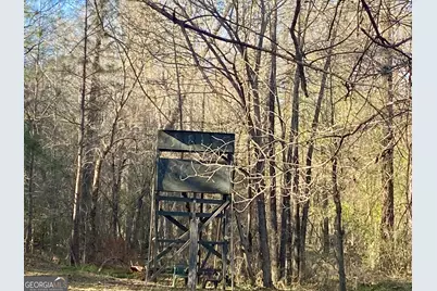 3312 Hunts Chapel Road, Sparta, GA 31087 - Photo 77