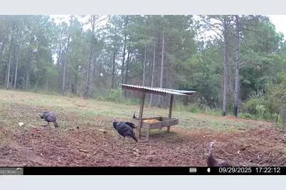 3312 Hunts Chapel Road, Sparta, GA 31087 - Photo 47