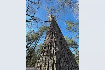 3312 Hunts Chapel Road, Sparta, GA 31087 - Photo 31