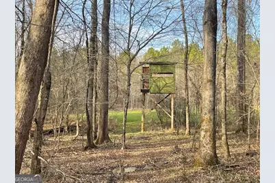 3312 Hunts Chapel Road, Sparta, GA 31087 - Photo 19