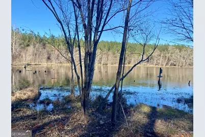 3312 Hunts Chapel Road, Sparta, GA 31087 - Photo 79