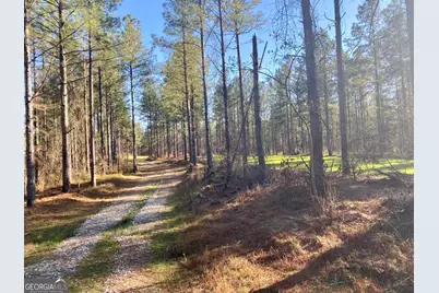 3312 Hunts Chapel Road, Sparta, GA 31087 - Photo 71