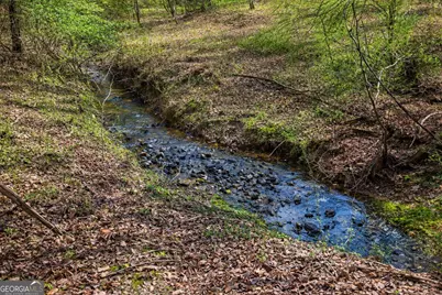 2345 Stonepile Road #LOT 1, Clarkesville, GA 30523 - Photo 1
