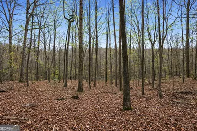 2345 Stonepile Road #LOT 1, Clarkesville, GA 30523 - Photo 11