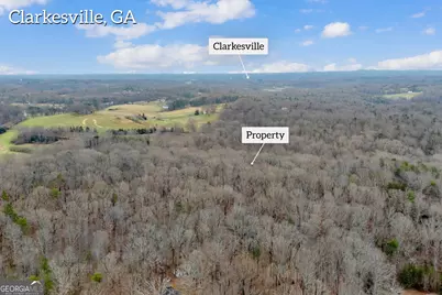 2345 Stonepile Road #LOT 1, Clarkesville, GA 30523 - Photo 25