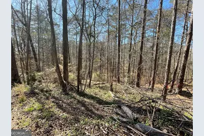 Lot 62 Warbler Lane, Monticello, GA 31064 - Photo 3