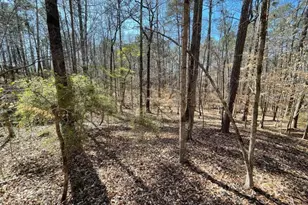 Lot 62 Warbler Ln, Monticello, GA 31064 - Photo 1