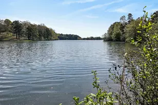 955 Mocassin Gap Rd, Locust Grove, GA 30248 - Photo 53