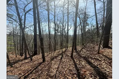Tract 3A Big View Lane, Clayton, GA 30525 - Photo 1