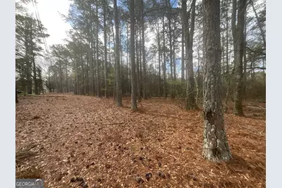 8615 Smith James Road #TRACT 2, Snellville, GA 30039 - Photo 17