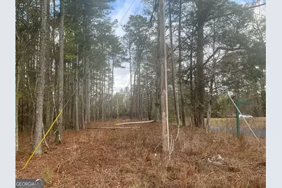 8615 Smith James Road #TRACT 2, Snellville, GA 30039 - Photo 25