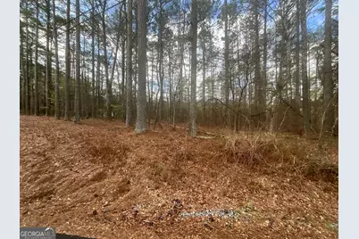 8615 Smith James Road #TRACT 2, Snellville, GA 30039 - Photo 15