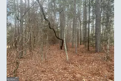 8615 Smith James Road #TRACT 2, Snellville, GA 30039 - Photo 21